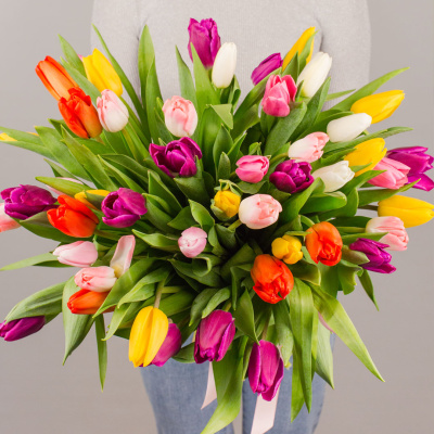 Тюльпаны 51 шт. МИКС арт. 7336