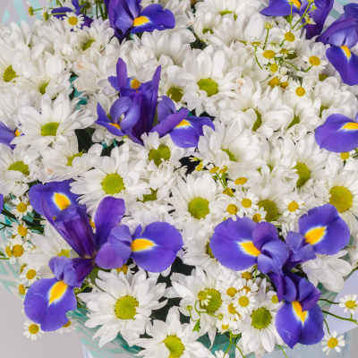 Букет с хризантемой, ирисами и ромашками арт. 52674