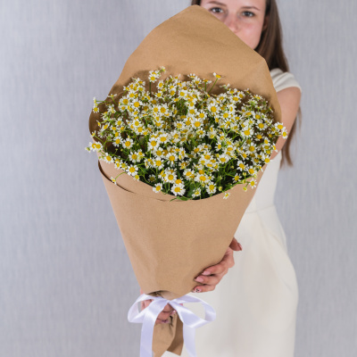 Букет из ромашек танацетумов в крафте арт. 36302