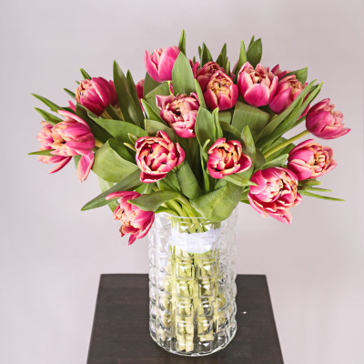 Букет из 25 пионовидных тюльпанов Коламбус под ленту арт. 46176