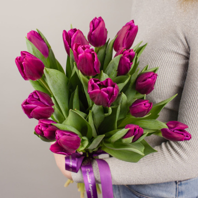 Тюльпаны фиолетовые 15 шт. (без упаковки) арт. 28774