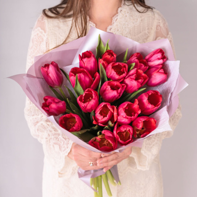 Букет из 15 малиновых тюльпанов в упаковке арт. 59900