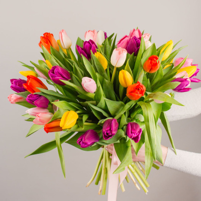 Тюльпаны 51 шт. МИКС арт. 7336