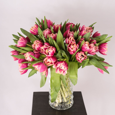 Тюльпаны пионовидные 51 шт. (красный) арт. 46174