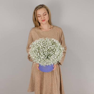 Коробка с гипсофилой белая арт. 50464