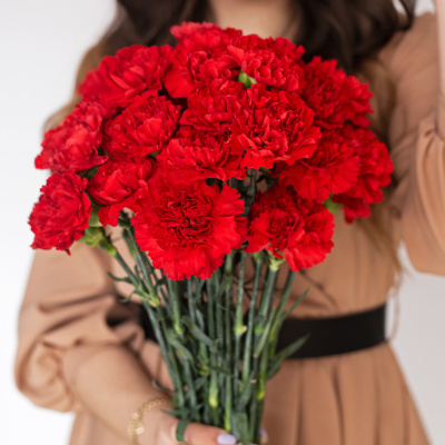Гвоздика красная ПОШТУЧНО арт. 24