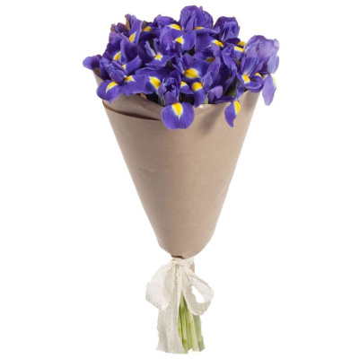 Букет из 15 синих Ирисов арт. 7334