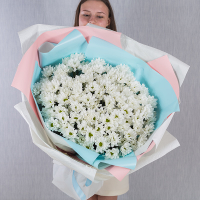 Букет-гигант из кустовых хризантем N 36151