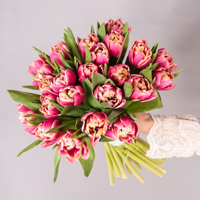 Букет из 25 пионовидных тюльпанов Коламбус под ленту арт. 46176