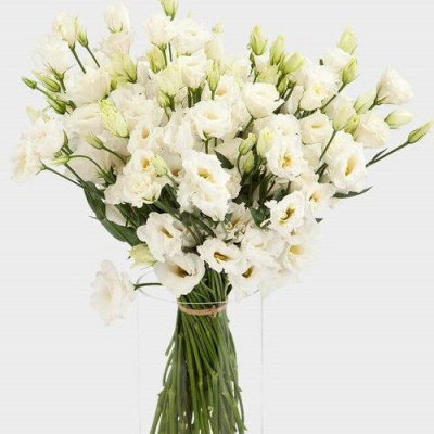 Букет из Эустом (Лизиатус) арт. 7342