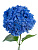 Гортензия ПОШТУЧНО арт. 5264