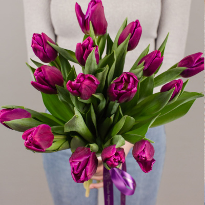Тюльпаны фиолетовые 15 шт. (без упаковки) арт. 28774