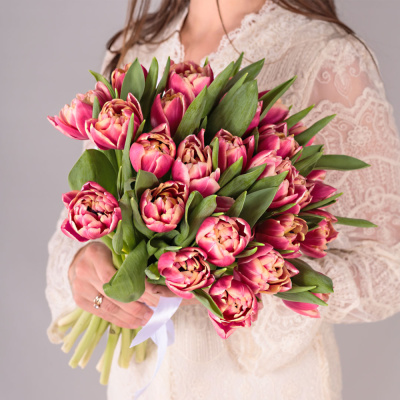 Букет из 25 пионовидных тюльпанов Коламбус под ленту арт. 46176