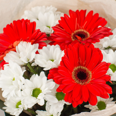 Букет из герберы и хризантемы арт. 50492