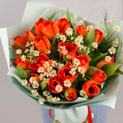 Букет из 19 ярких красных тюльпанов с ромашками арт. 46334