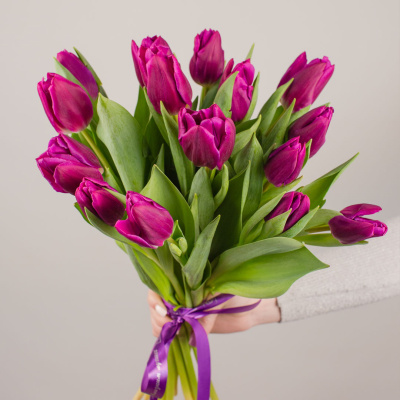 Тюльпаны фиолетовые 15 шт. (без упаковки) арт. 28774