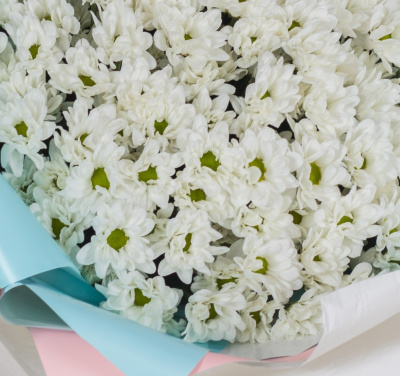 Букет-гигант из кустовых хризантем N 36151