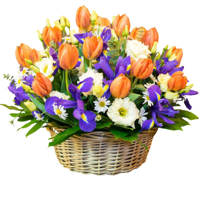 Корзина тюльпанов "Весенний мотив" арт. 28677