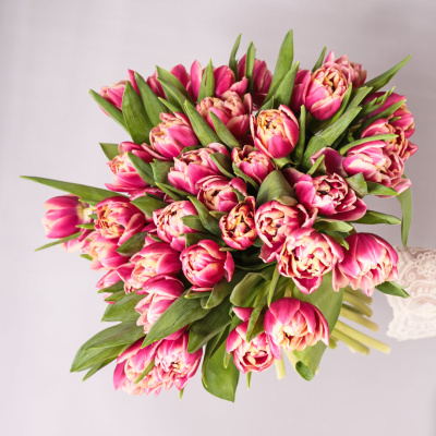 Тюльпаны пионовидные 51 шт. (красный) арт. 46174