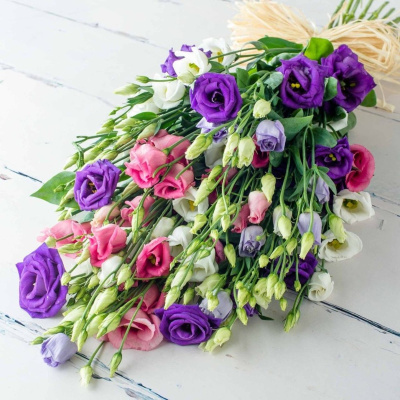 Букет из 15 Эустом (Лизиантус) арт. 7343