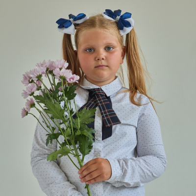 Хризантема кустовая МИКС ПОШТУЧНО арт. 19