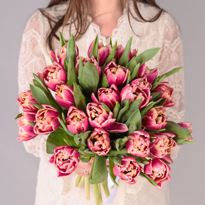 Букет из 25 пионовидных тюльпанов Коламбус под ленту арт. 46176