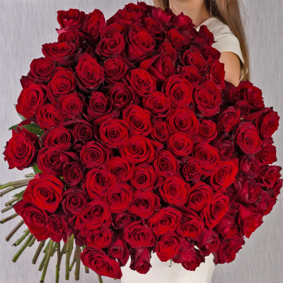 Роза красная Эквадор с крупным бутоном ПОШТУЧНО 60 см арт. 902