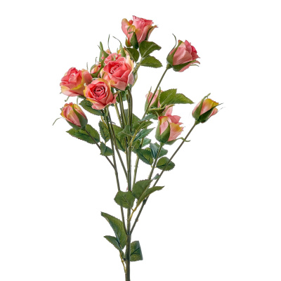 Роза кустовая арт. 16