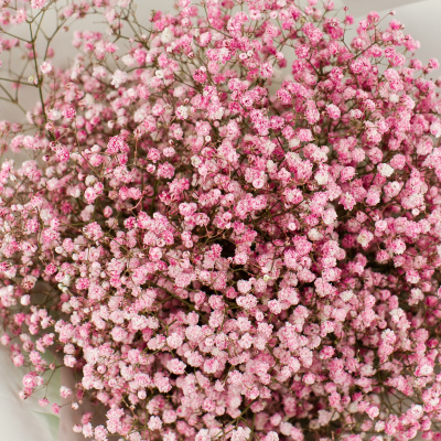 Букет из розовых гипсофил арт. 50459