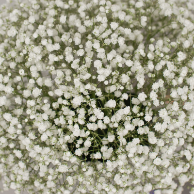 Коробка с гипсофилой белая арт. 50464