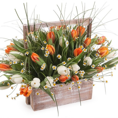 Ящик с тюльпанами XL арт. 28961