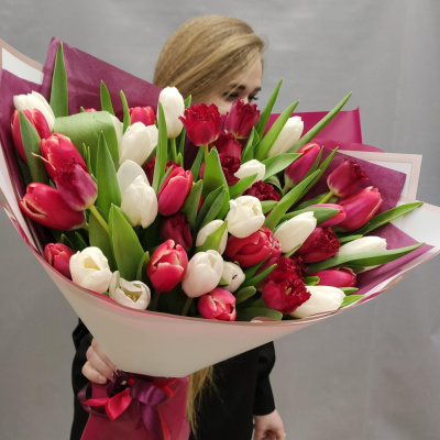 Букет 51 тюльпан красный и белый в упаковке арт. 7337